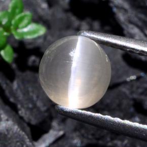 1,74 ctw natürlicher grauer Sillimanite Cat's Eye, Rundschliff, Lichtdurchlässig
