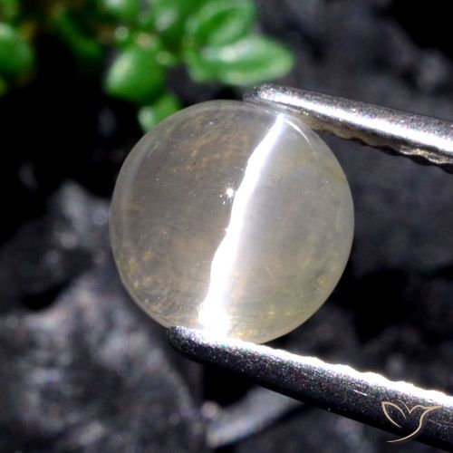 1.53ct Natürlicher Warmweiß Sillimanit-Katzenauge, Runden, Lichtdurchlässig
