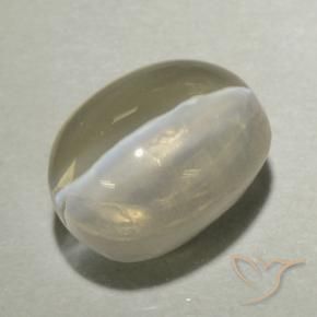9,17 ctw natürlicher hellgelb Sillimanit-Katzenauge, Oval, Transparent