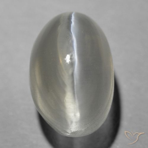 1.70ct Natürlicher Sehr helles Grau Sillimanit-Katzenauge, Oval, Transparent
