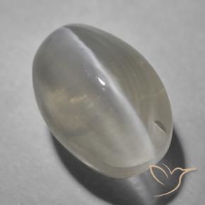 9,17 ctw natürlicher Sehr helles Grau Sillimanit-Katzenauge, Oval, Transparent