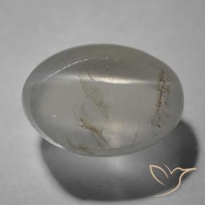 9,17 ctw natürlicher Sehr helles Grau Sillimanit-Katzenauge, Oval, Transparent