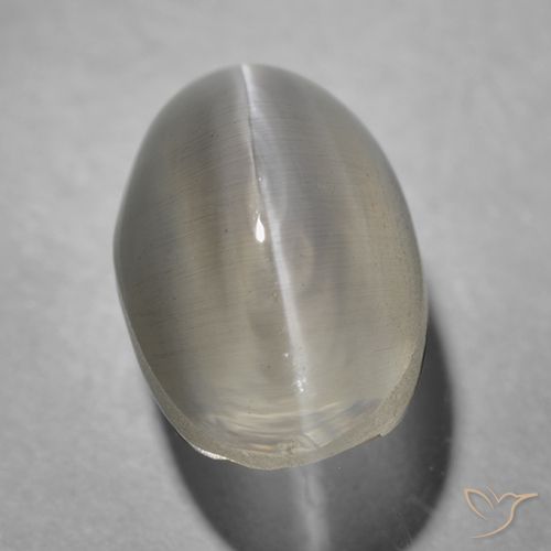 1.43ct Natürlicher Sehr helles Grau Sillimanit-Katzenauge, Oval, Transparent
