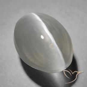 9,17 ctw natürlicher Sehr helles Grau Sillimanit-Katzenauge, Oval, Transparent