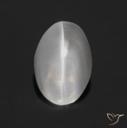 1.25ct Natürlicher Sehr helles Grau Sillimanit-Katzenauge, Oval, Transparent