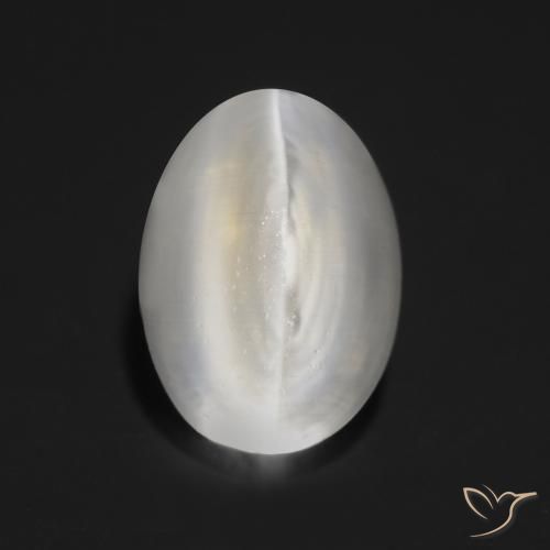 9,17 ctw natürlicher Sehr helles Grau Sillimanit-Katzenauge, Oval, Transparent