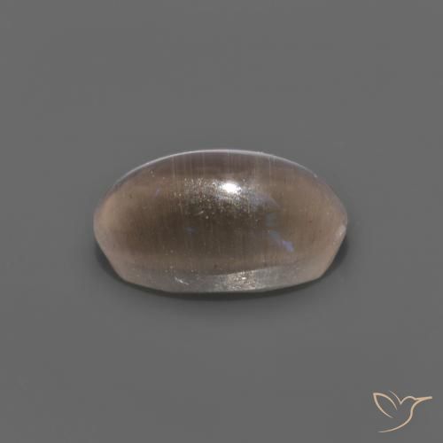 9,17 ctw natürlicher Mittel braun Sillimanit-Katzenauge, Oval, Transparent