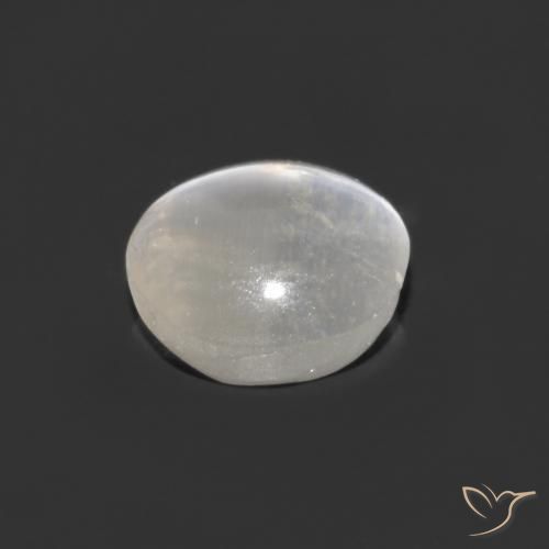 9,17 ctw natürlicher Klares Weiß Sillimanit-Katzenauge, Oval, Transparent