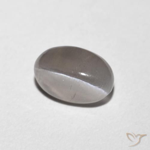 9,17 ctw natürlicher Sehr helles Grau Sillimanit-Katzenauge, Oval, Transparent