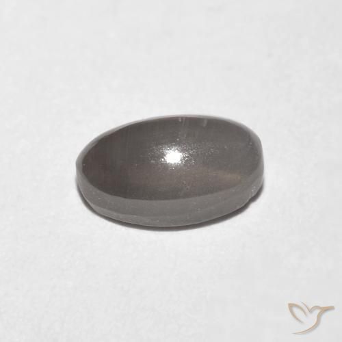 9,17 ctw natürlicher Sehr helles Grau Sillimanit-Katzenauge, Oval, Transparent