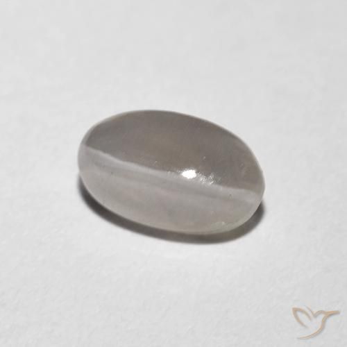 9,17 ctw natürlicher Sehr helles Grau Sillimanit-Katzenauge, Oval, Transparent
