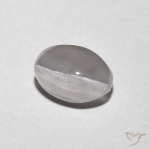 9,17 ctw natürlicher Sehr helles Grau Sillimanit-Katzenauge, Oval, Transparent