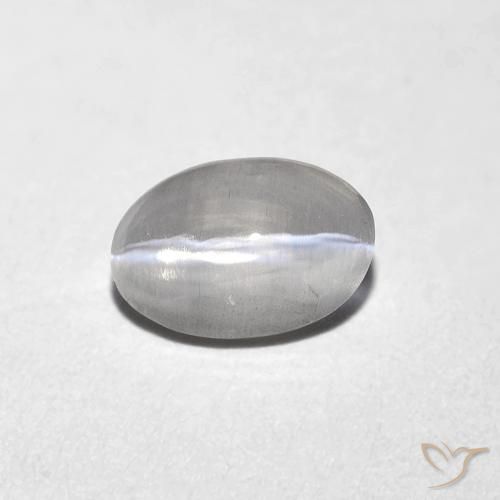 9,17 ctw natürlicher Sehr helles Grau Sillimanit-Katzenauge, Oval, Transparent