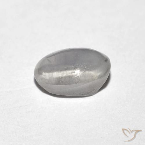 9,17 ctw natürlicher Sehr helles Grau Sillimanit-Katzenauge, Oval, Transparent