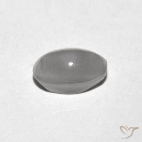 9,17 ctw natürlicher Sehr helles Grau Sillimanit-Katzenauge, Oval, Transparent