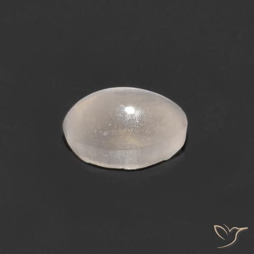 9,17 ctw natürlicher Sehr helles Grau Sillimanit-Katzenauge, Oval, Transparent