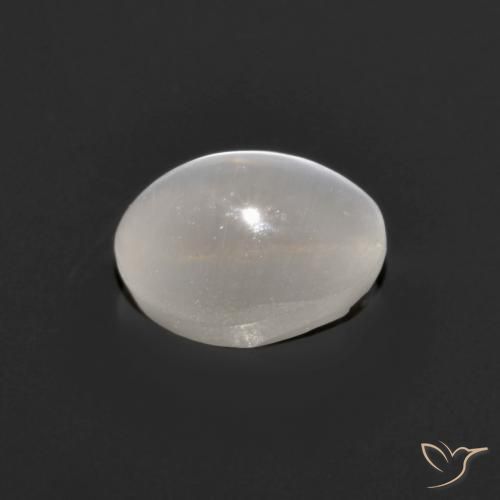 9,17 ctw natürlicher Sehr helles Grau Sillimanit-Katzenauge, Oval, Transparent