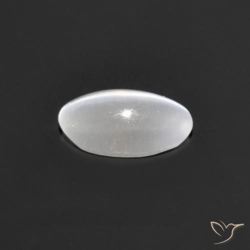 9,17 ctw natürlicher Sehr helles Grau Sillimanit-Katzenauge, Oval, Transparent