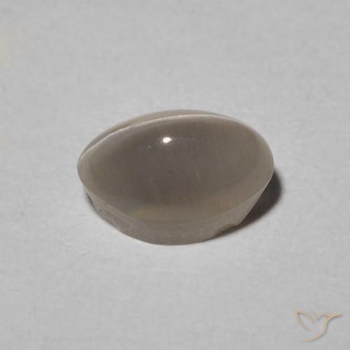 9,17 ctw natürlicher Warm Grey Sillimanit-Katzenauge, Oval, Lichtdurchlässig