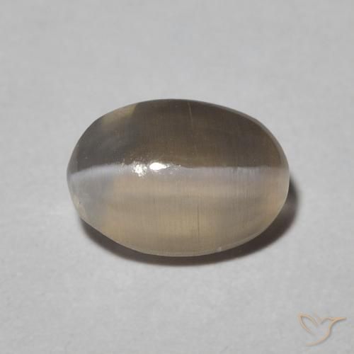 1.09ct Natürlicher Warm Grey Sillimanit-Katzenauge, Oval, Lichtdurchlässig