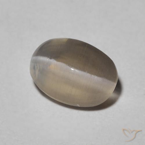 9,17 ctw natürlicher Warm Grey Sillimanit-Katzenauge, Oval, Lichtdurchlässig