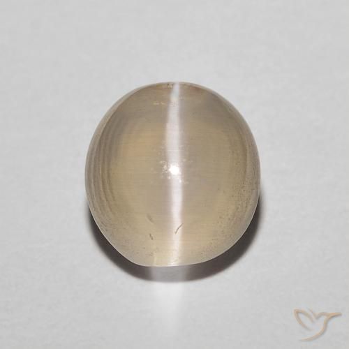 1.43ct Natürlicher hellgelb Sillimanit-Katzenauge, Oval, Lichtdurchlässig