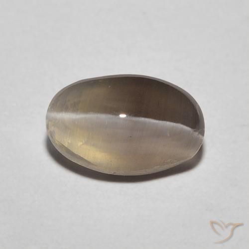 1.20ct Natürlicher Espresso Braun Sillimanit-Katzenauge, Oval, Lichtdurchlässig
