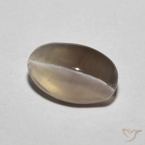 9,17 ctw natürlicher Espresso Braun Sillimanit-Katzenauge, Oval, Lichtdurchlässig