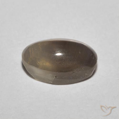 9,17 ctw natürlicher Espresso Braun Sillimanit-Katzenauge, Oval, Lichtdurchlässig