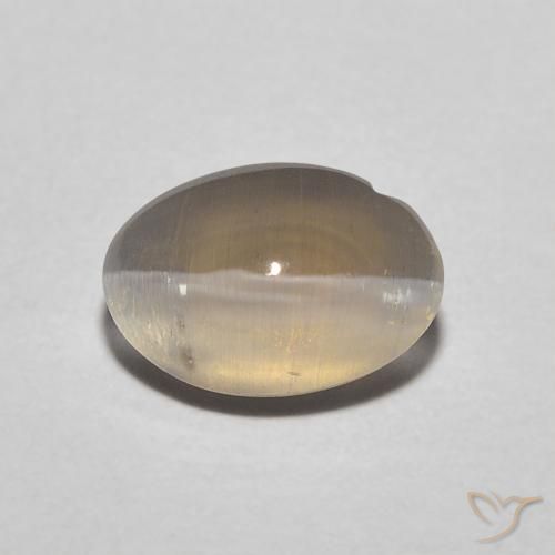 1.11ct Natürlicher Neutrales Braun Sillimanit-Katzenauge, Oval, Lichtdurchlässig