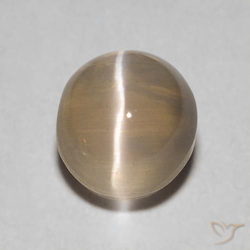 0.86ct Natürlicher Mittel braun Sillimanit-Katzenauge, Oval, Transparent