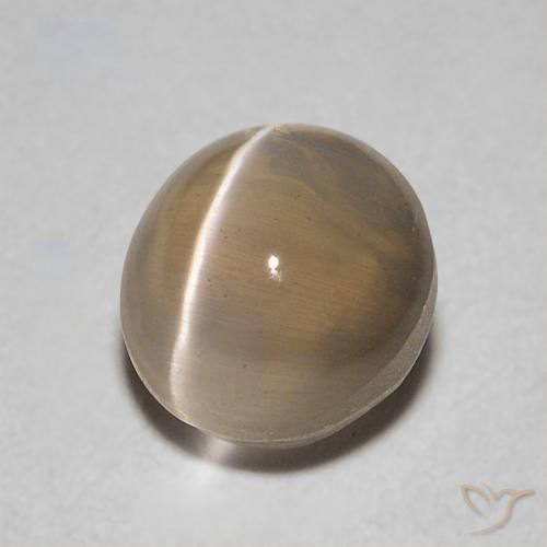 9,17 ctw natürlicher Mittel braun Sillimanit-Katzenauge, Oval, Transparent