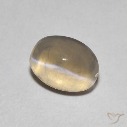 9,17 ctw natürlicher Hellgelbbraun Sillimanit-Katzenauge, Oval, Transparent