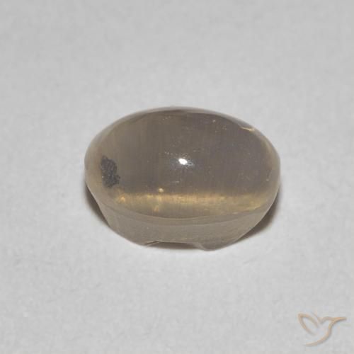 9,17 ctw natürlicher Hellgelbbraun Sillimanit-Katzenauge, Oval, Transparent