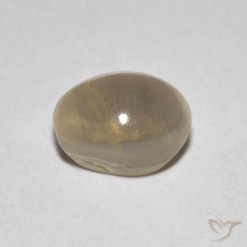 9,17 ctw natürlicher Sehr helles Braun Sillimanit-Katzenauge, Oval, Transparent