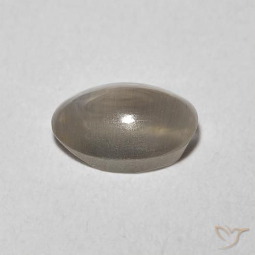 9,17 ctw natürlicher Sehr helles Grau Sillimanit-Katzenauge, Oval, Transparent