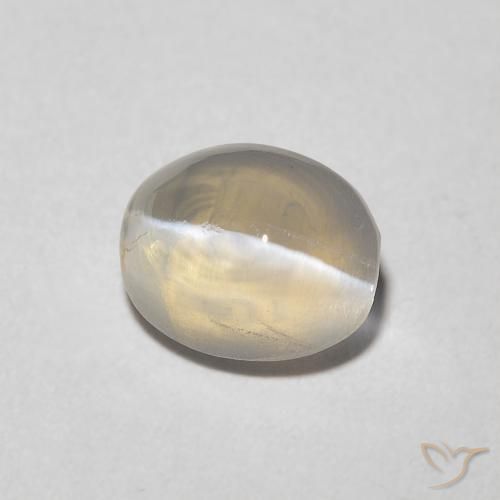 9,17 ctw natürlicher Warmweiß Sillimanit-Katzenauge, Oval, Transparent