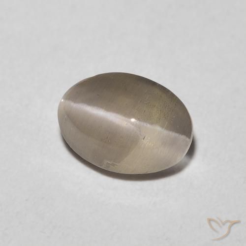 9,17 ctw natürlicher Helles Tortilla-Braun Sillimanit-Katzenauge, Oval, Transparent