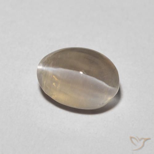 9,17 ctw natürlicher Sehr helles Braun Sillimanit-Katzenauge, Oval, Transparent