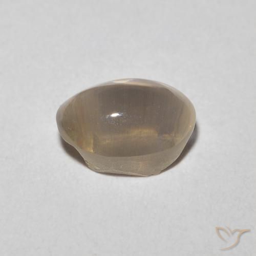 9,17 ctw natürlicher Sehr helles Braun Sillimanit-Katzenauge, Oval, Transparent