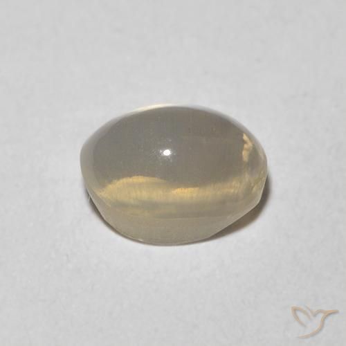 9,17 ctw natürlicher Sehr helles Grau Sillimanit-Katzenauge, Oval, Transparent