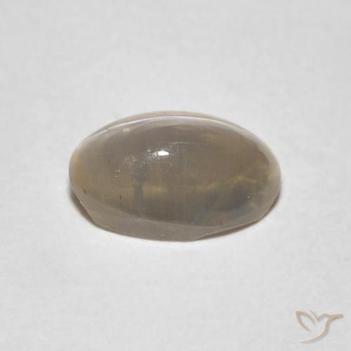 9,17 ctw natürlicher Sehr helles Braun Sillimanit-Katzenauge, Oval, Transparent
