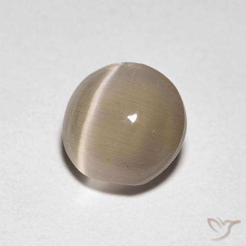 9,17 ctw natürlicher Warmes Hellbraun Sillimanit-Katzenauge, Oval, Transparent