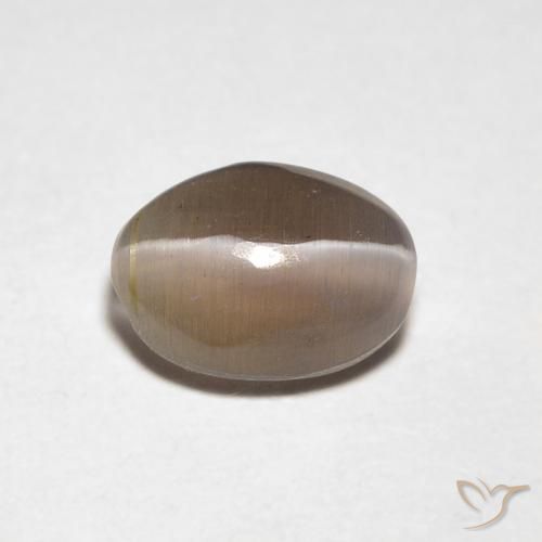 0.88ct Natürlicher Mittel braun Sillimanit-Katzenauge, Oval, Transparent