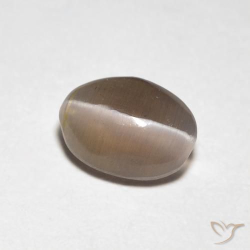9,17 ctw natürlicher Mittel braun Sillimanit-Katzenauge, Oval, Transparent