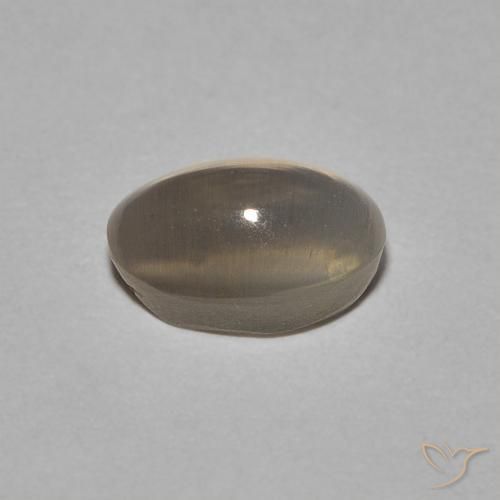 9,17 ctw natürlicher Sehr helles Braun Sillimanit-Katzenauge, Oval, Transparent