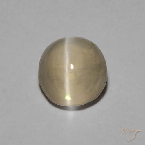 1.22ct Natürlicher Hellgelbbraun Sillimanit-Katzenauge, Oval, Transparent