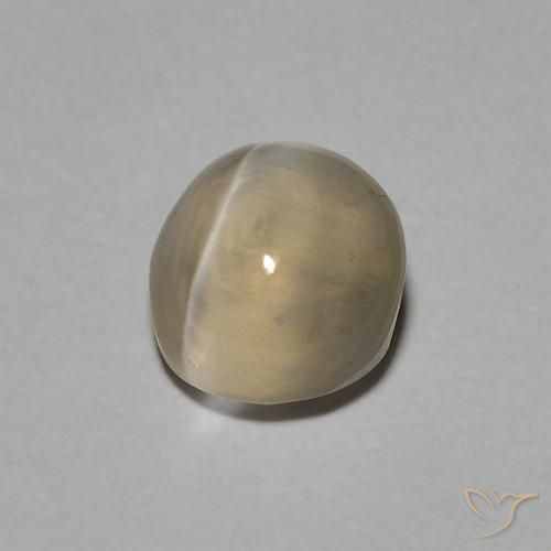9,17 ctw natürlicher Hellgelbbraun Sillimanit-Katzenauge, Oval, Transparent
