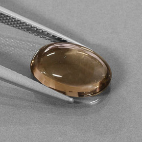 3,17 ctw natürlicher brauner Rauchquarz, Oval Schliff, Lichtdurchlässig