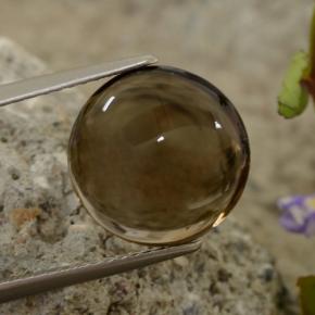 5,63 ctw natürlicher brauner Rauchquarz, Rundschliff, Transparent
